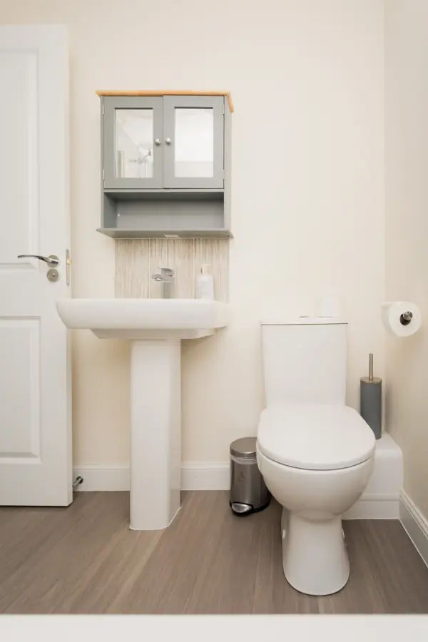 Family bathroom basin and toilet