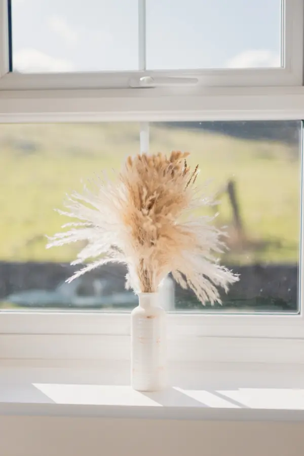 Bedroom window with pampas grass and fields beyond