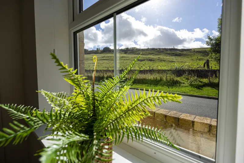 Moorland view from the window